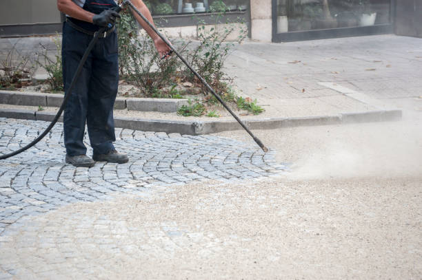 Best Sidewalk and Walkway Cleaning  in Seeley, CA